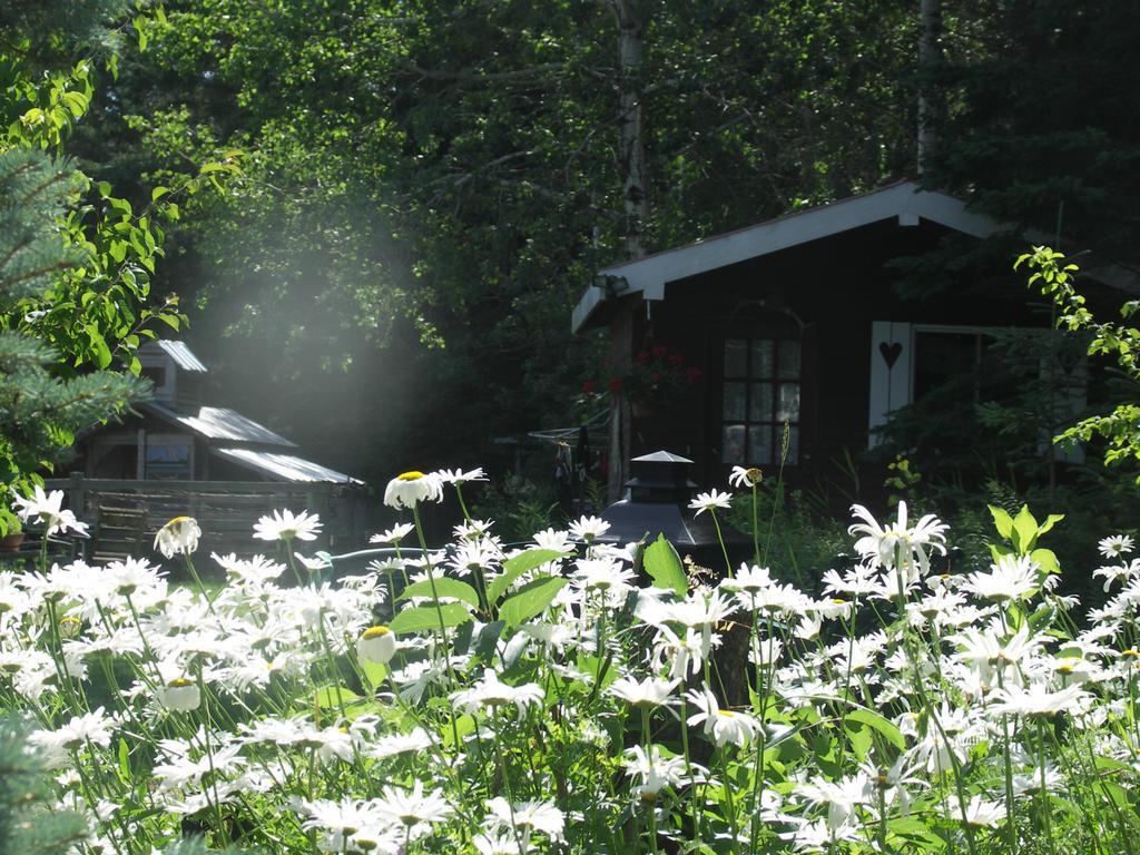Bed and Breakfast Vieille École du Rang 3 Saint-Henri-de-Taillon Exterior foto